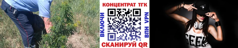 ТГК гашишное масло  Купить где  Моздок 